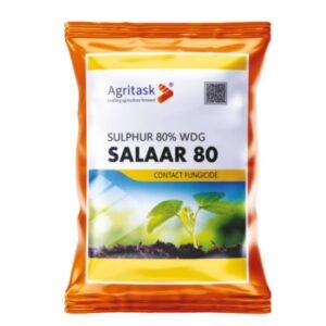 SALAAR 80