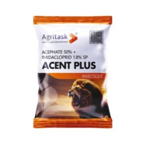ACENT PLUS