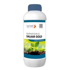 SALAAR GOLD