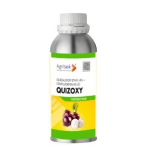 QUIZOXY