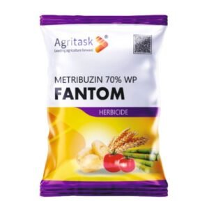 FANTOM