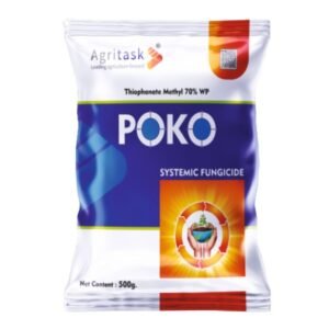 POKO