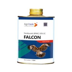 FALCON
