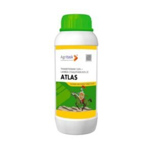 ATLAS