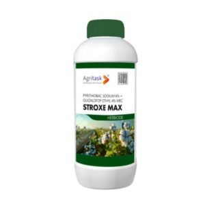 STROXE MAX